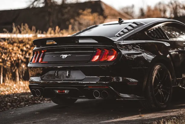 PlaySunny Casino Aip Android/iOS